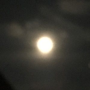 Meet your Posher, Claudia